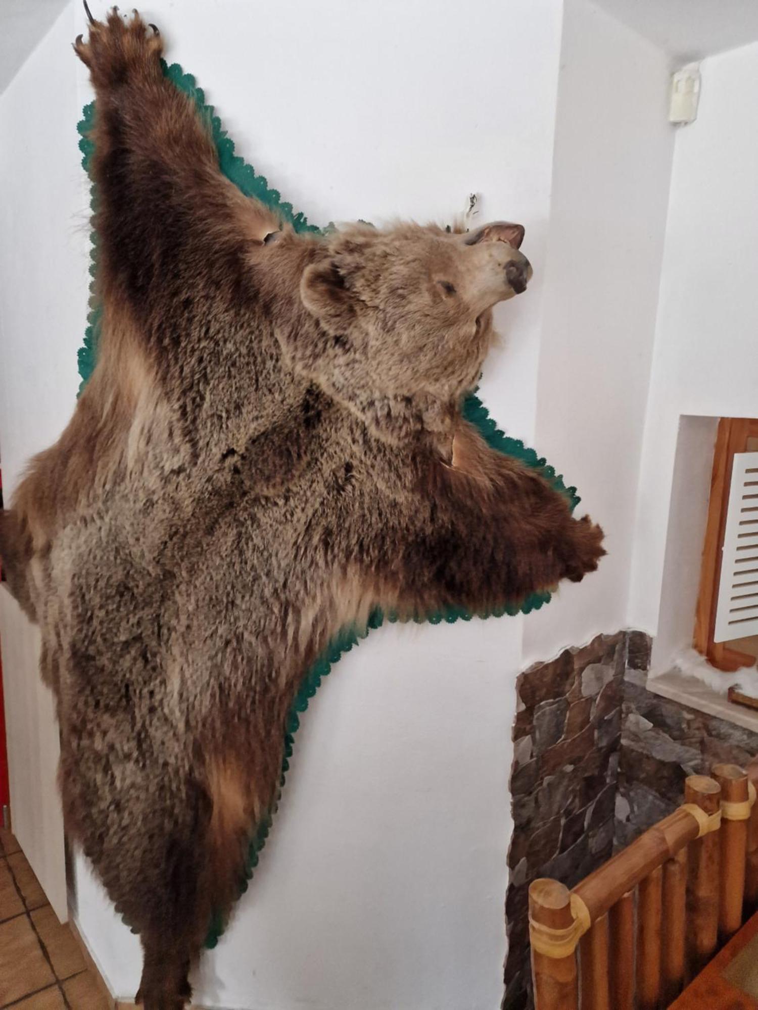 Ubytovanie Janka Turany Dış mekan fotoğraf
